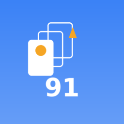 Rummy 91